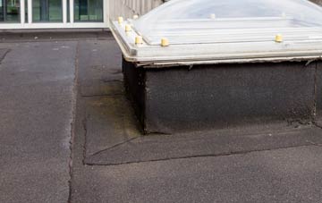 disadvantages of Ysceifiog flat roofs